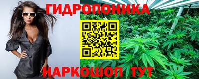 молекула духа Кандалакша