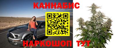 mdma Камышлов